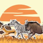 How To Choose The Right Hosting For Your Blog